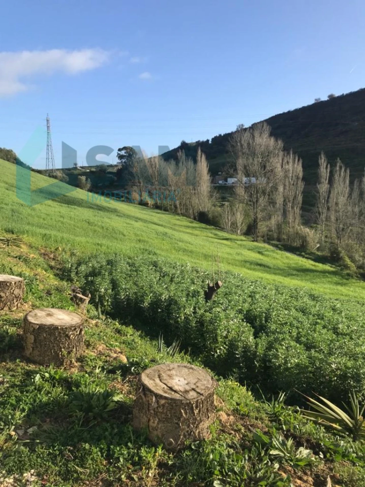 Moradia T2 para Venda em Santa Maria, São Pedro e Matacães Foto 20