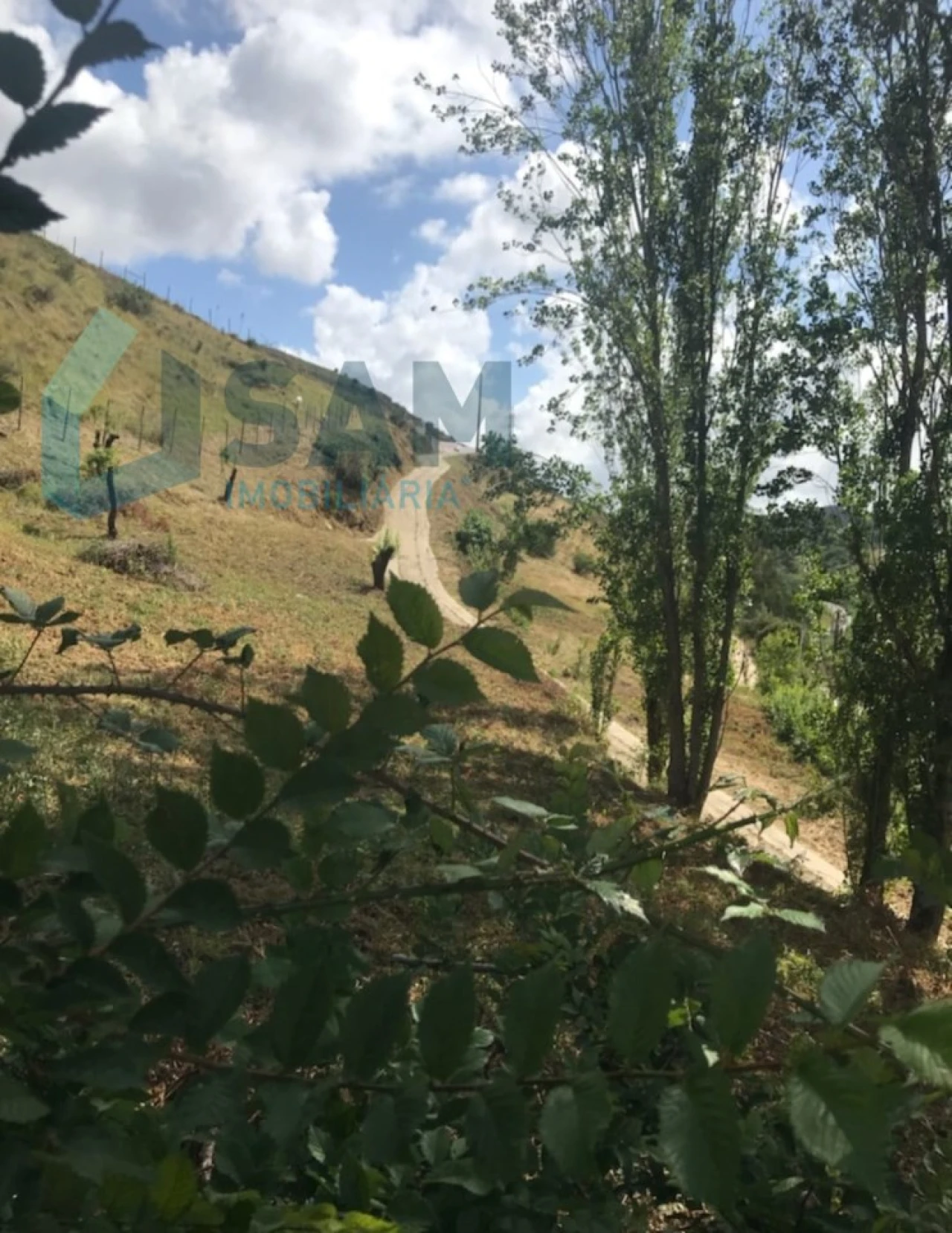 Moradia T2 para Venda em Santa Maria, São Pedro e Matacães Foto 21