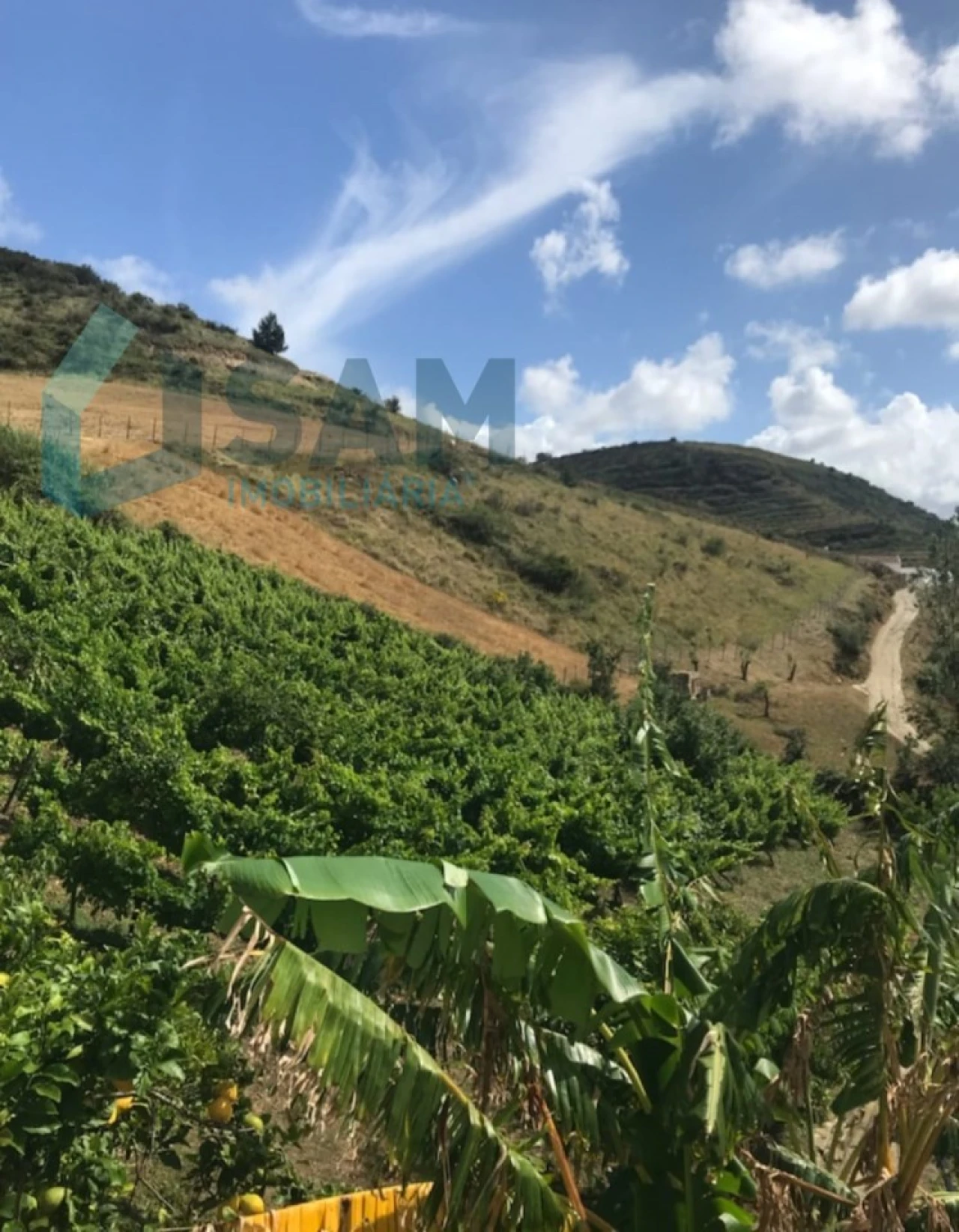 Moradia T2 para Venda em Santa Maria, São Pedro e Matacães Foto 22