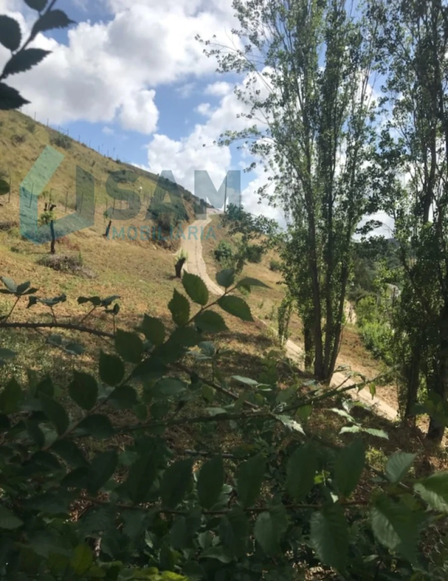 Moradia T2 para Venda em Santa Maria, São Pedro e Matacães Foto 21