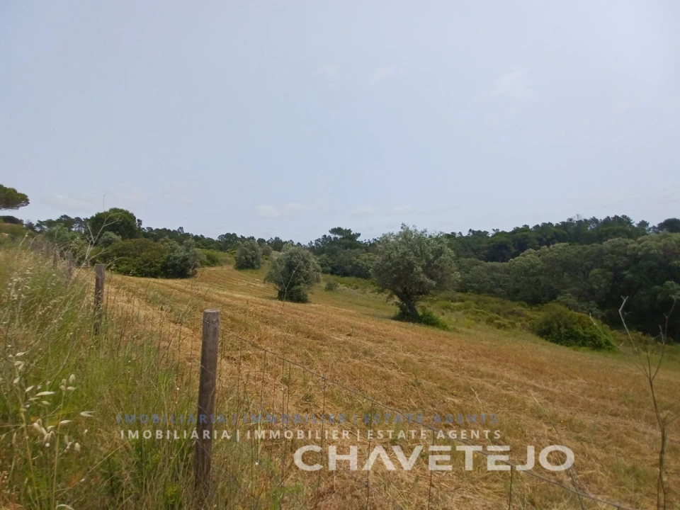 Terreno para Venda em Madalena e Beselga Foto 4