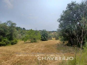 Terreno para Venda em Madalena e Beselga