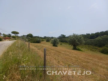 Terreno para Venda em Madalena e Beselga