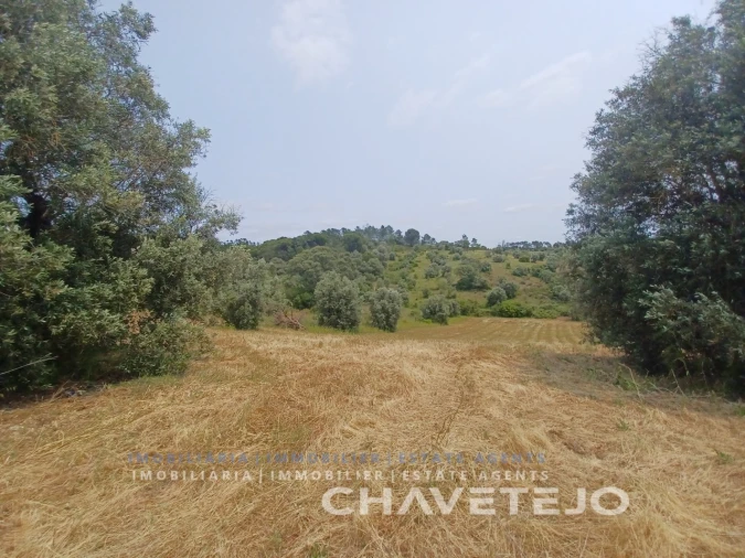 Terreno para Venda em Madalena e Beselga Foto 2