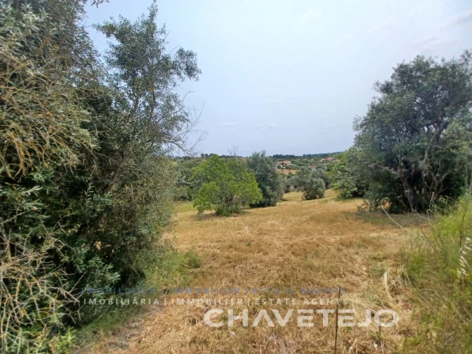 Terreno para Venda em Madalena e Beselga Foto 6
