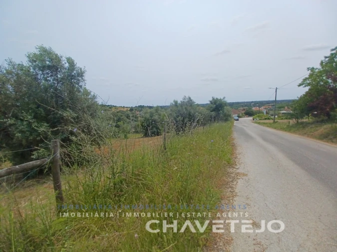 Terreno para Venda em Madalena e Beselga Foto 7