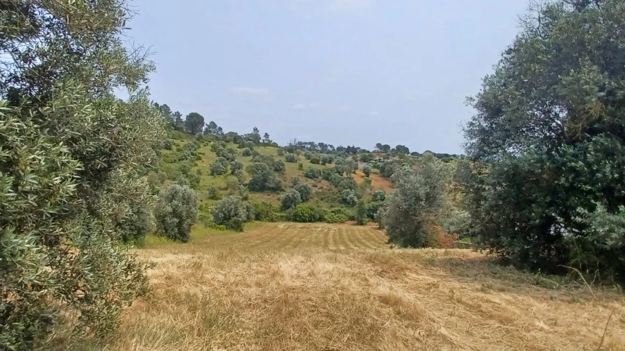 Terreno para Venda em Madalena e Beselga