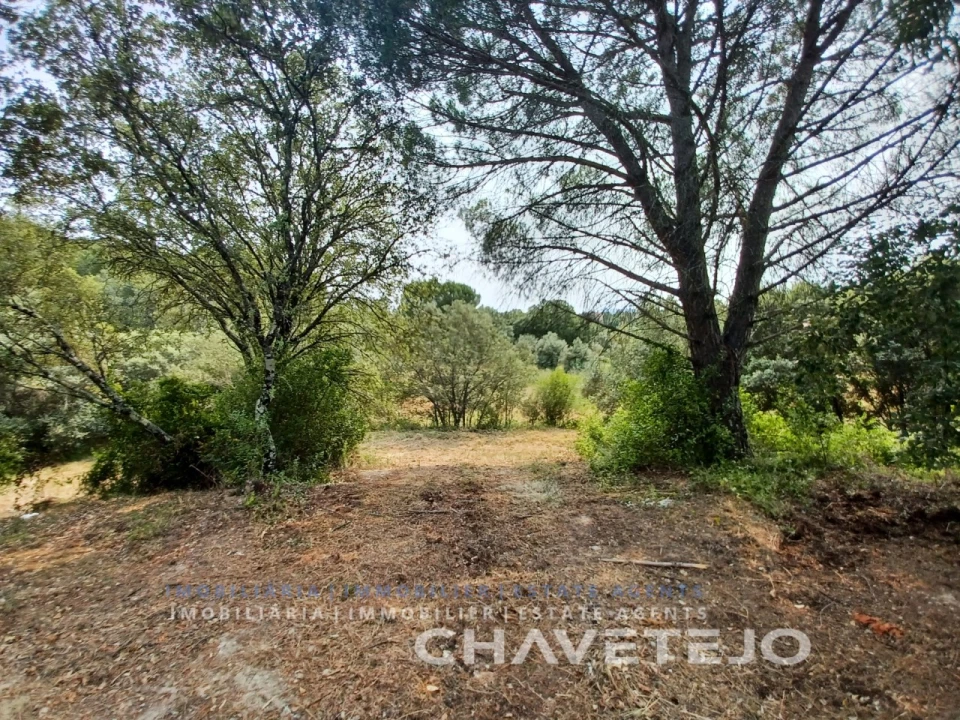 Terreno Agricola ou Rústico para Venda em Madalena e Beselga Foto 5