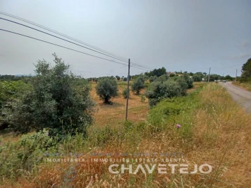 Terreno Agricola ou Rústico para Venda em Madalena e Beselga