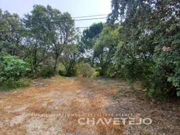 Terreno Agricola ou Rústico para Venda em Madalena e Beselga