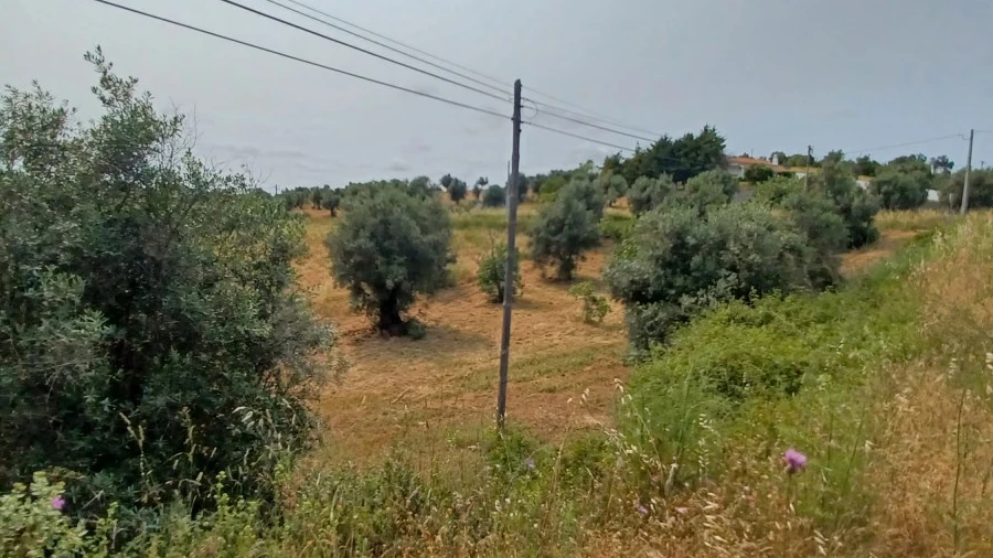 Terreno Agricola ou Rústico para Venda em Madalena e Beselga