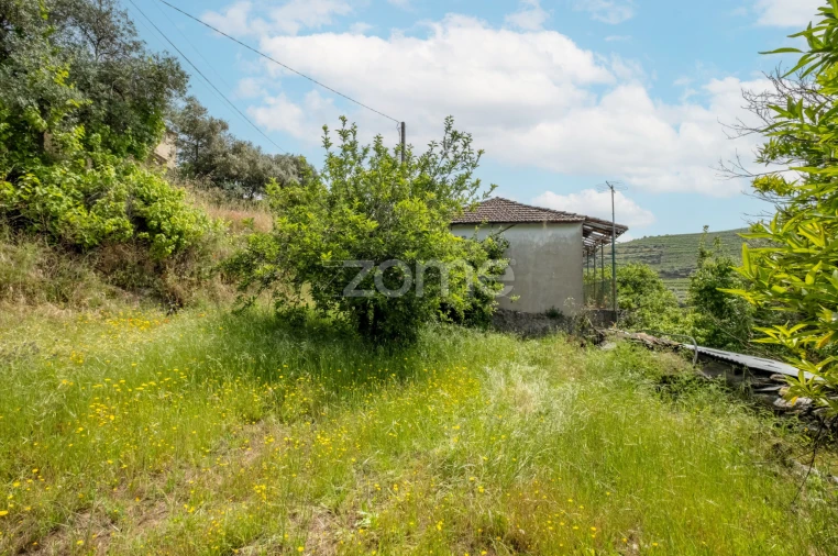 Moradia T2 para Venda em Castanheiro do Norte e Ribalonga Foto 29