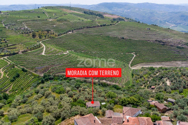 Moradia T2 para Venda em Castanheiro do Norte e Ribalonga Foto 32