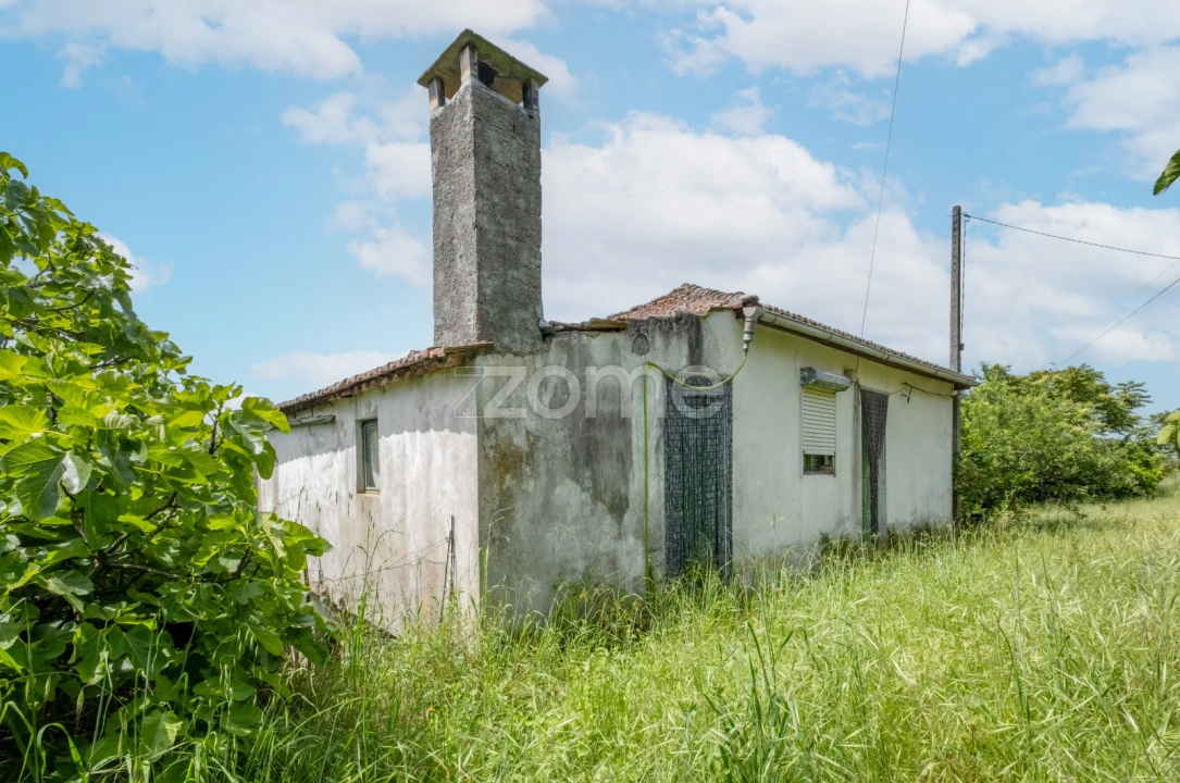 Moradia T2 para Venda em Castanheiro do Norte e Ribalonga Foto 27