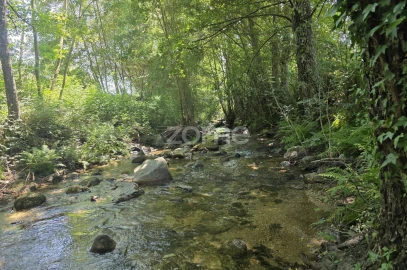 Quinta T6 para Venda em Teixoso e Sarzedo
