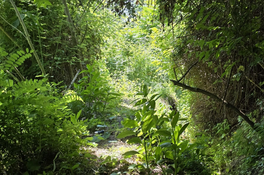 Quinta T6 para Venda em Teixoso e Sarzedo Foto 30