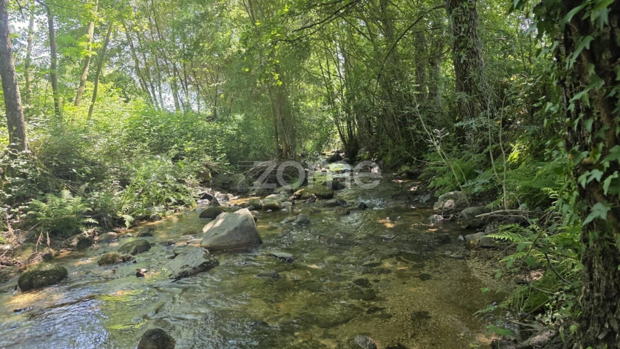Quinta T6 para Venda em Teixoso e Sarzedo