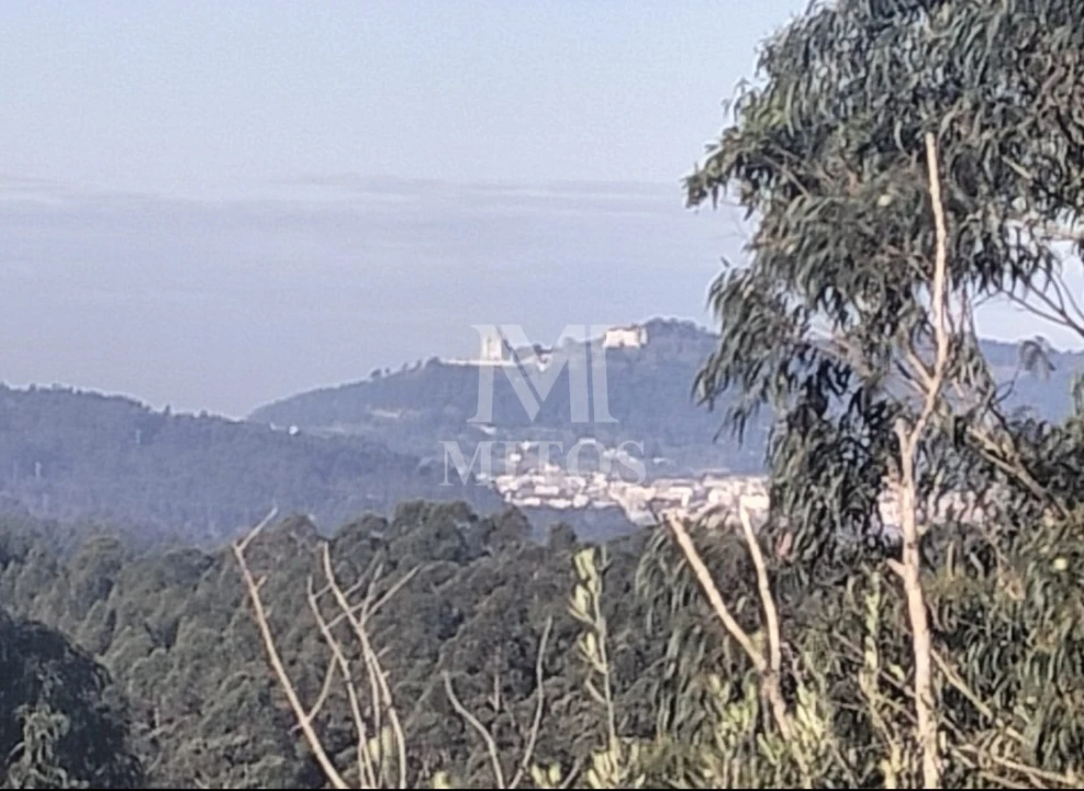 Moradia T2 para Venda em Vila de Punhe Foto 11