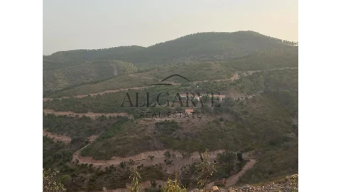 Terreno para Venda em Alferce