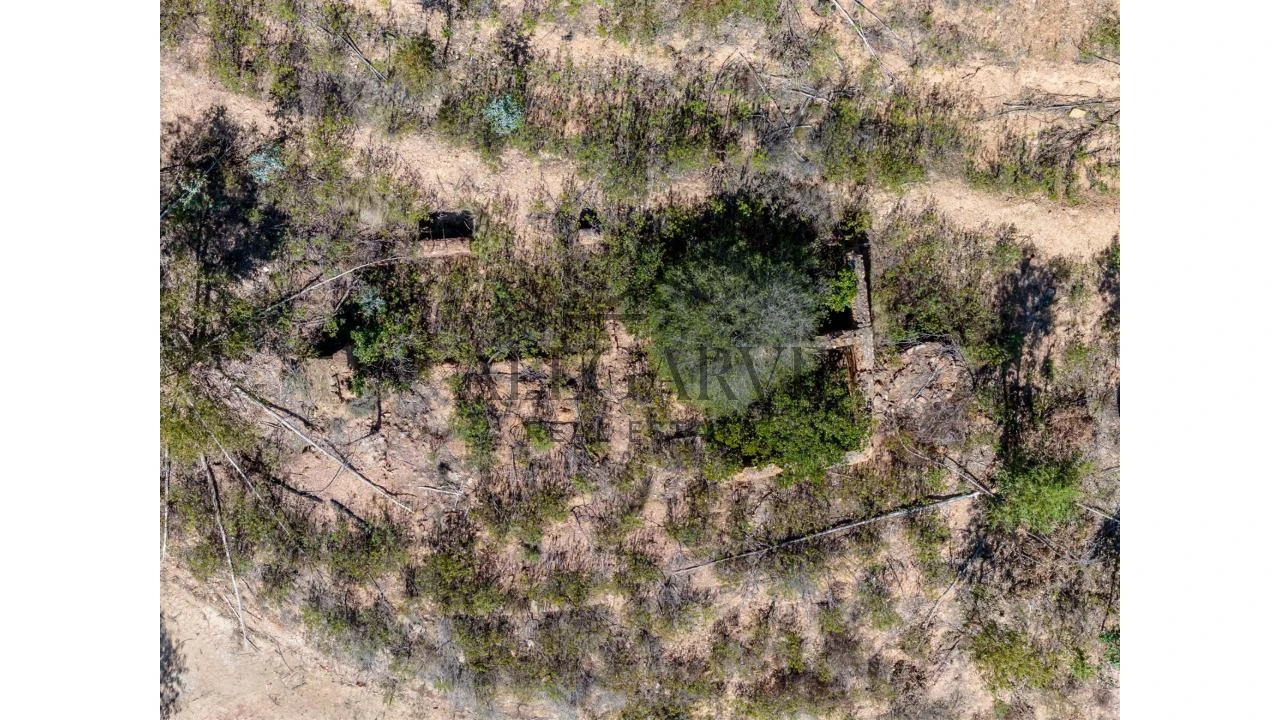 Terreno para Venda em Alferce Foto 13