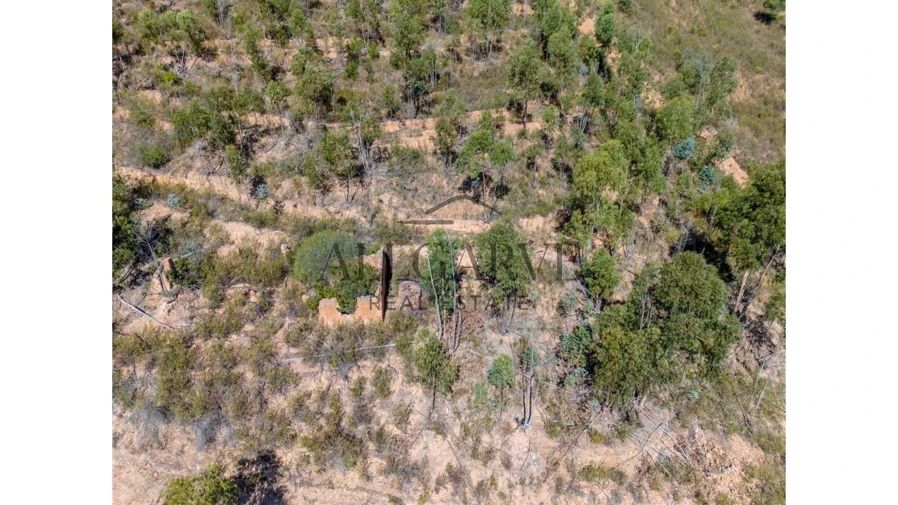 Terreno para Venda em Alferce Foto 12