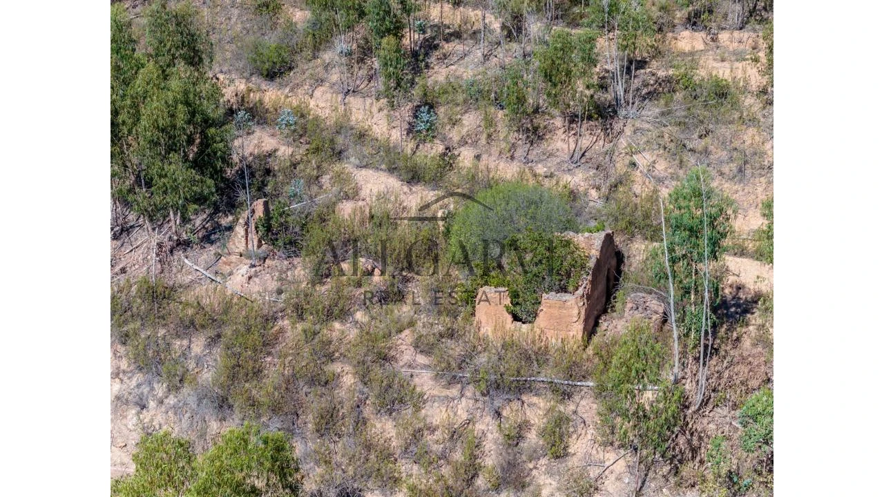 Terreno para Venda em Alferce Foto 14
