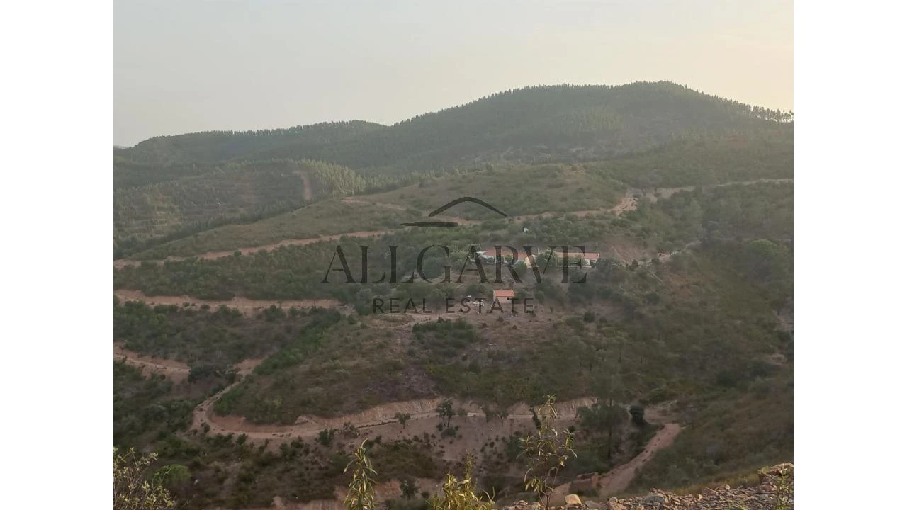 Terreno para Venda em Alferce Foto 11