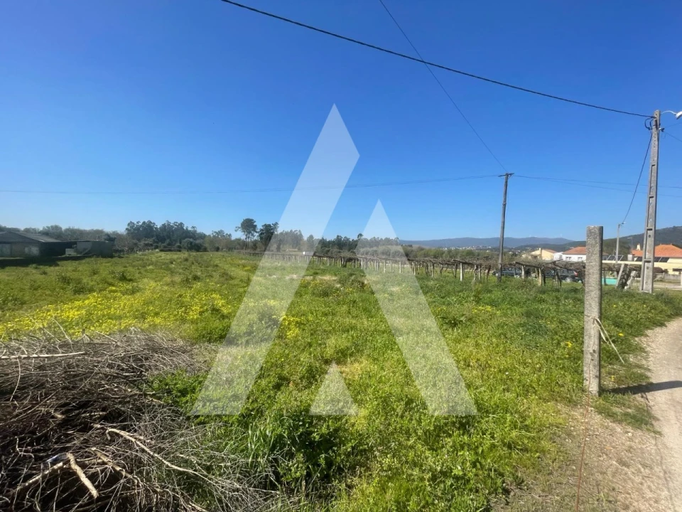 Terreno para Venda em Subportela, Deocriste e Portela Susã Foto 7