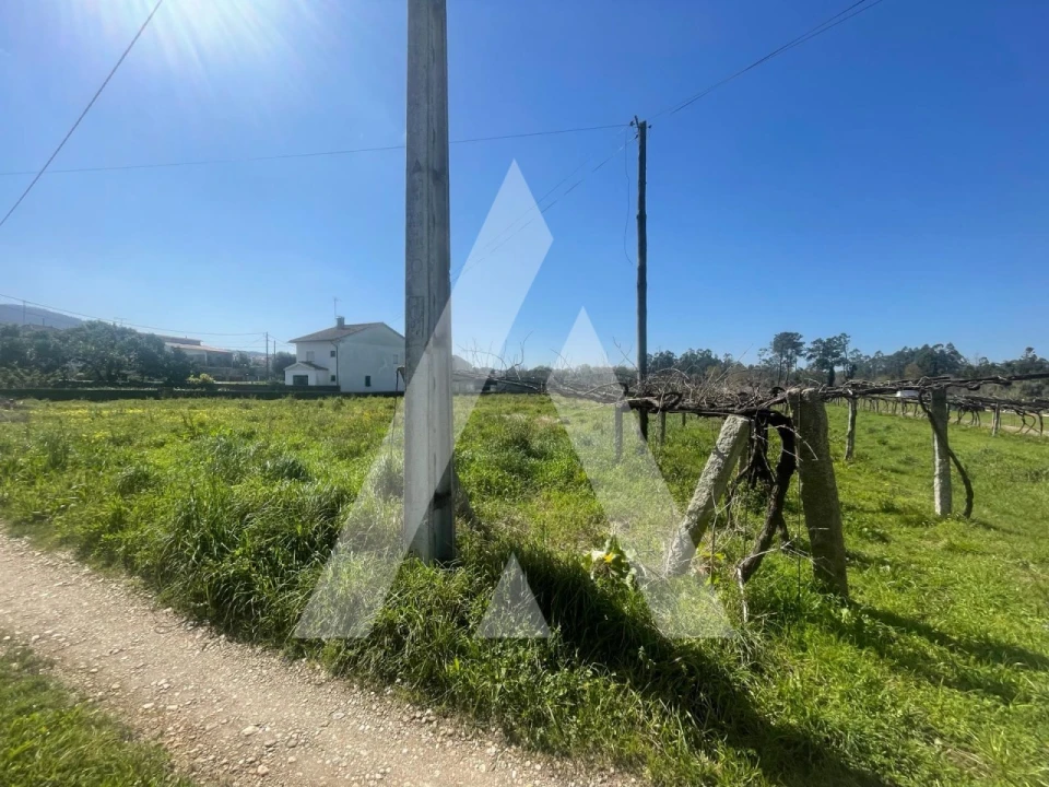 Terreno para Venda em Subportela, Deocriste e Portela Susã Foto 8