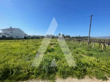 Terreno para Venda em Subportela, Deocriste e Portela Susã