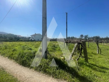 Terreno para Venda em Subportela, Deocriste e Portela Susã