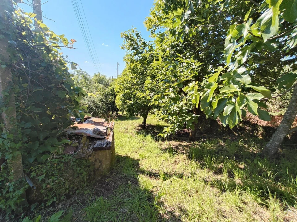 Moradia T2 para Venda em Maçãs de D. Maria Foto 28