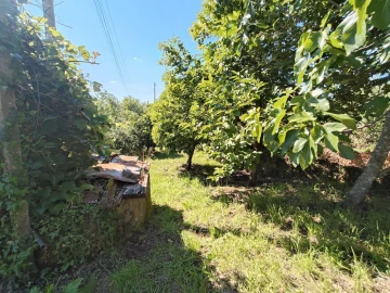 Moradia T2 para Venda em Maçãs de D. Maria