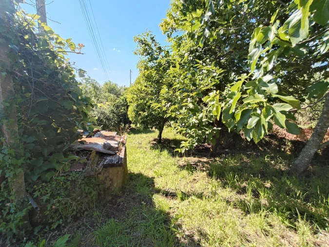 Moradia T2 para Venda em Maçãs de D. Maria Foto 28