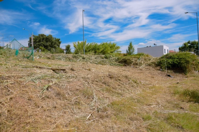 Terreno para Venda em Marrazes e Barosa Foto 3