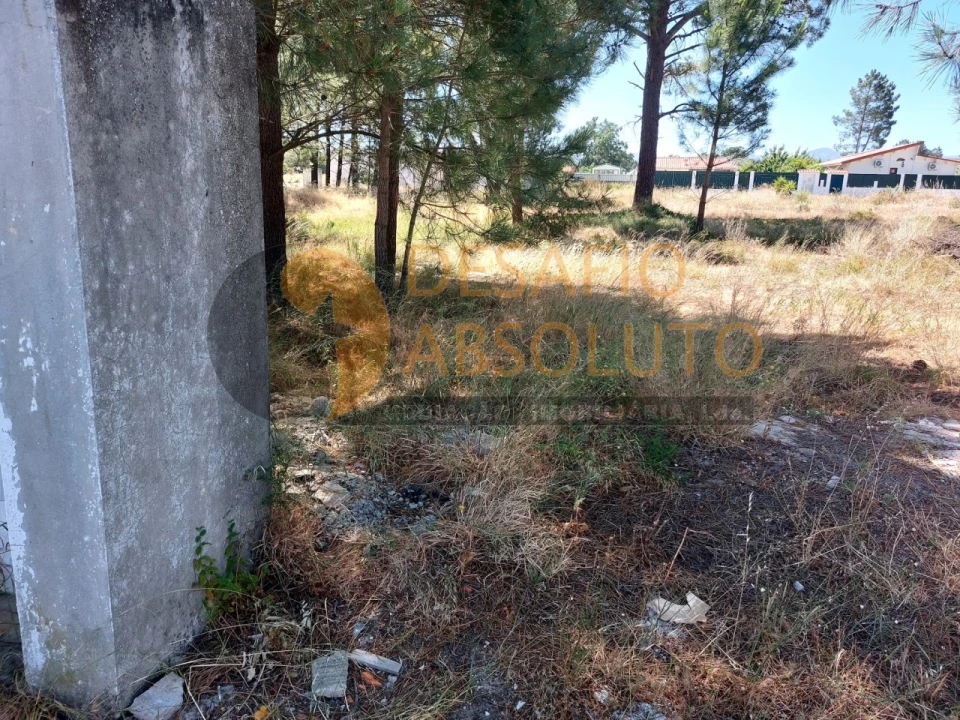 Terreno para Venda em Azeitão (São Lourenço e São Simão) Foto 12