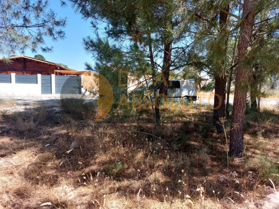 Terreno para Venda em Azeitão (São Lourenço e São Simão) Foto 7