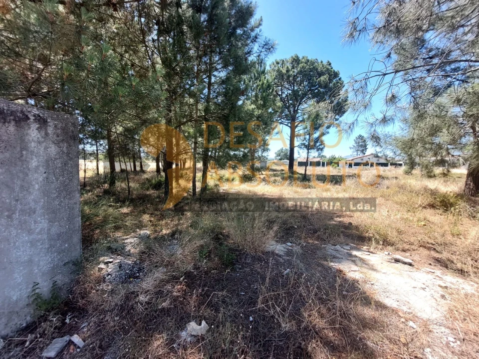 Terreno para Venda em Azeitão (São Lourenço e São Simão) Foto 8