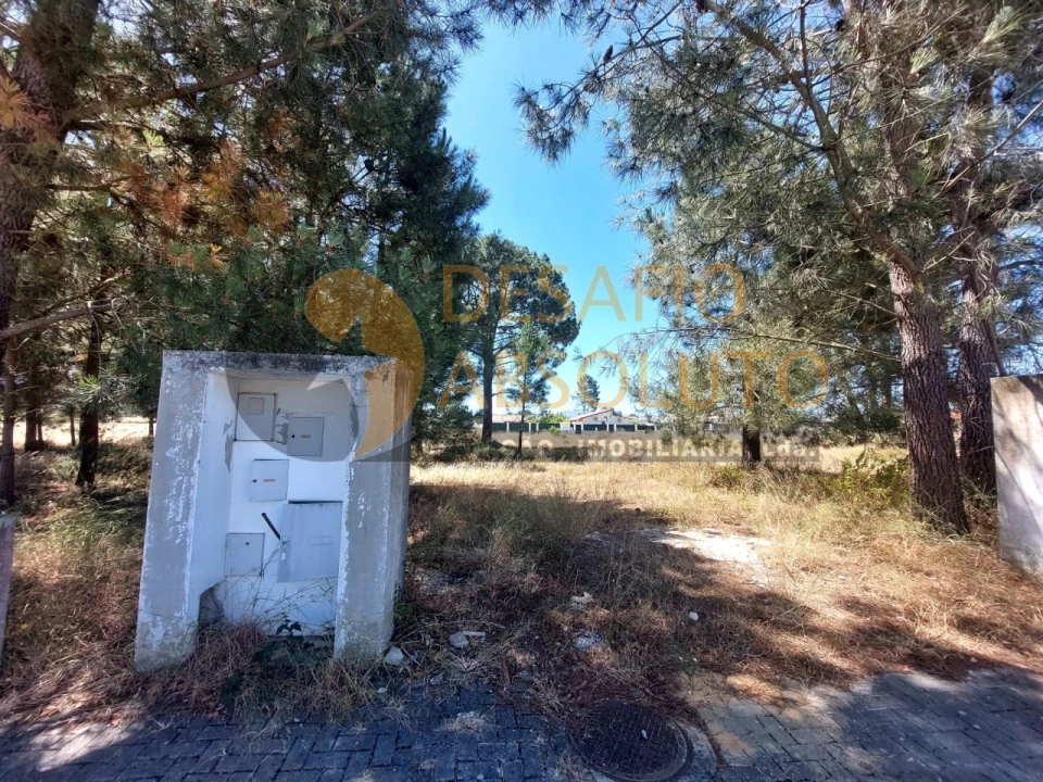 Terreno para Venda em Azeitão (São Lourenço e São Simão) Foto 9