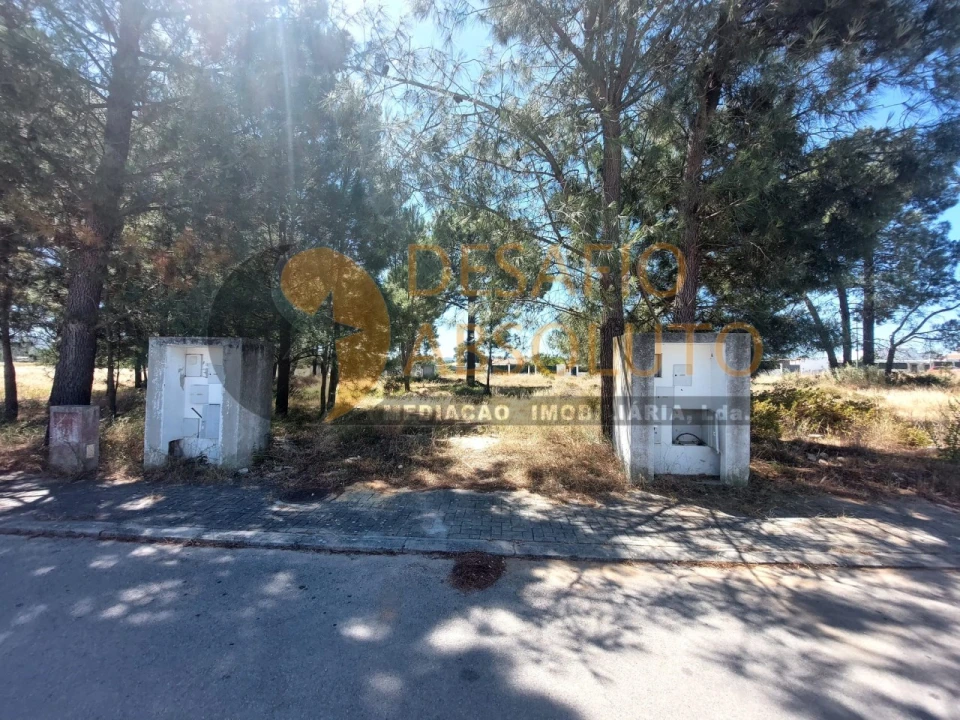 Terreno para Venda em Azeitão (São Lourenço e São Simão) Foto 10
