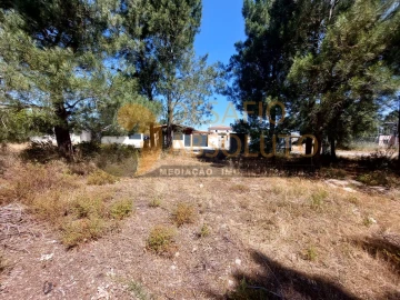 Terreno para Venda em Azeitão (São Lourenço e São Simão)