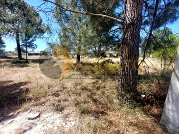 Terreno para Venda em Azeitão (São Lourenço e São Simão)