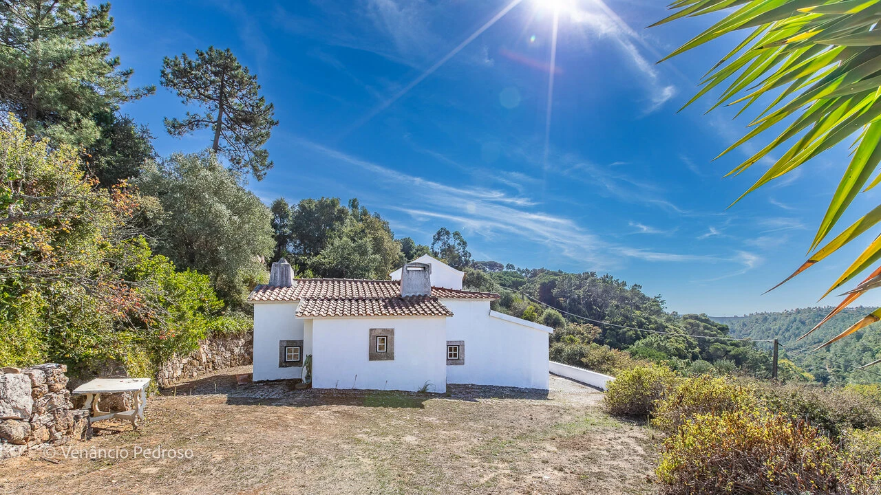 Moradia T3 para Venda em Ericeira Foto 33
