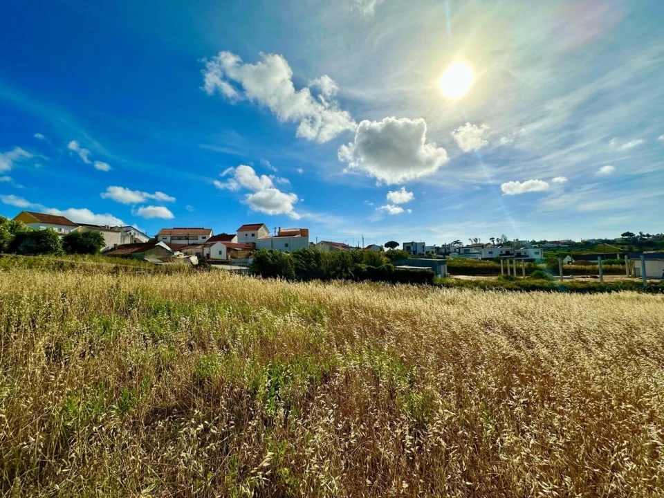 Terreno para Venda em Ericeira Foto 5
