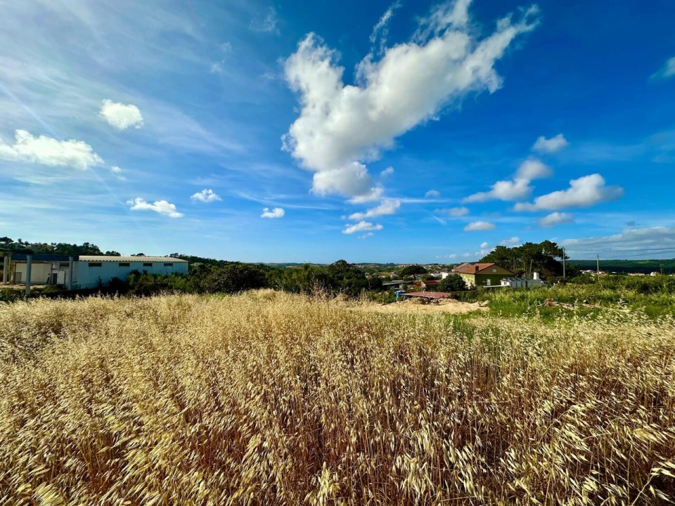 Terreno para Venda em Ericeira Foto 7