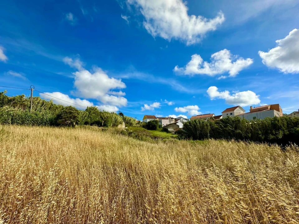Terreno para Venda em Ericeira Foto 9