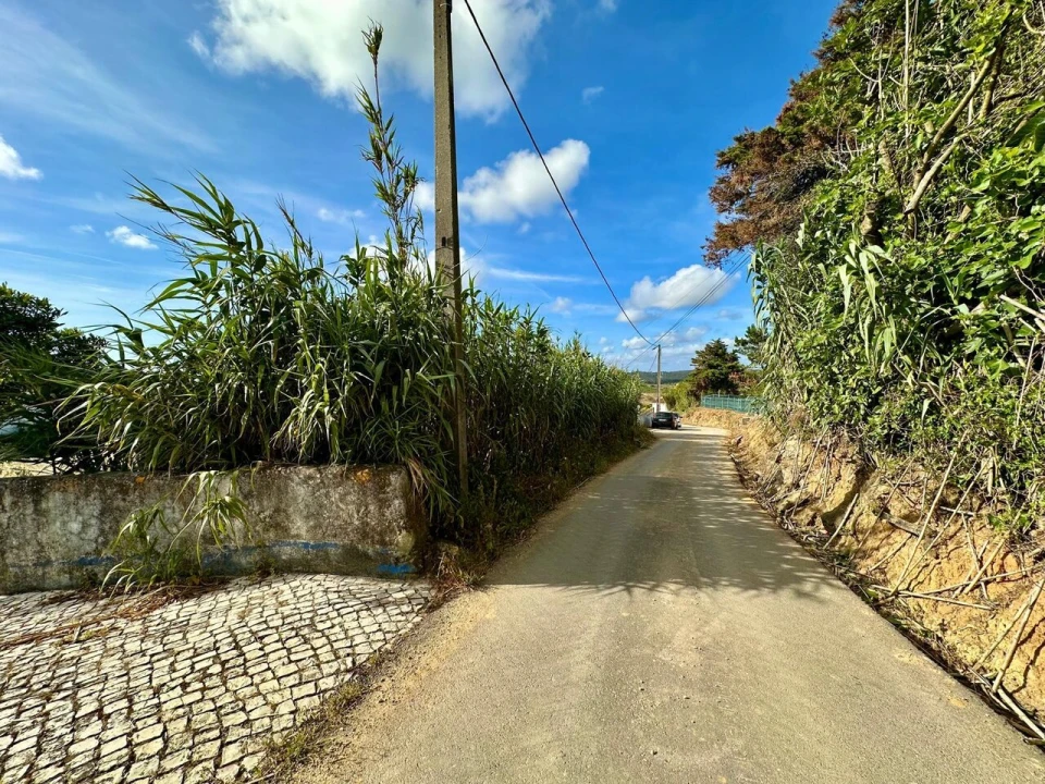 Terreno para Venda em Ericeira Foto 15