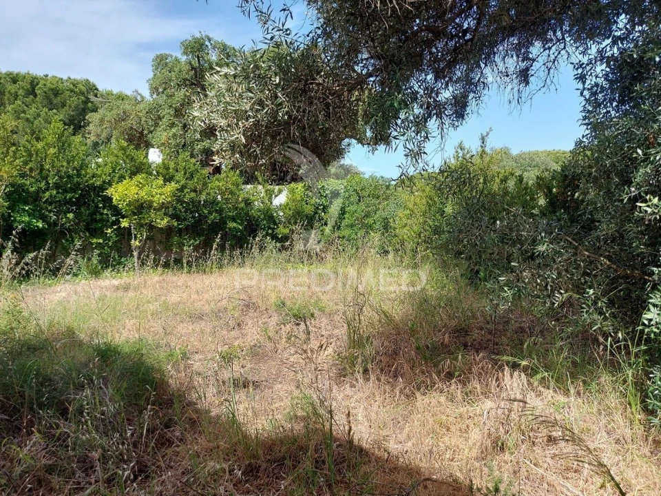 Moradia T3 para Venda em Albufeira e Olhos de Água Foto 5