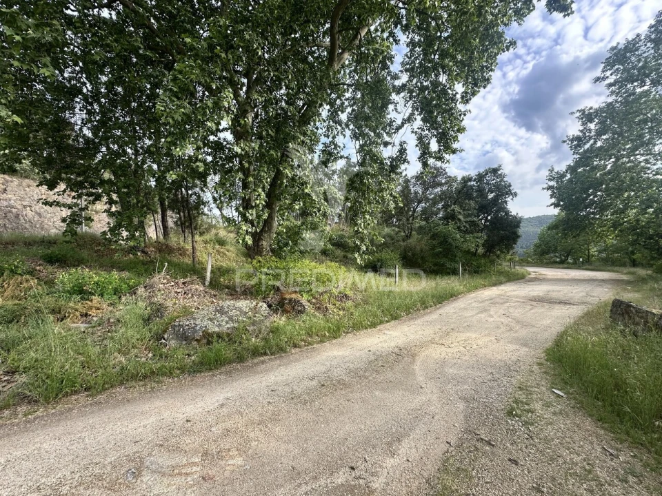 Terreno para Venda em Vidago, Arcossó, Selhariz, Vilarinho Paranheiras Foto 5