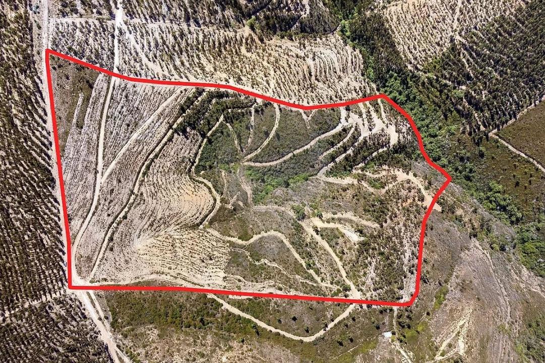 Terreno para Venda em Monchique Foto 1